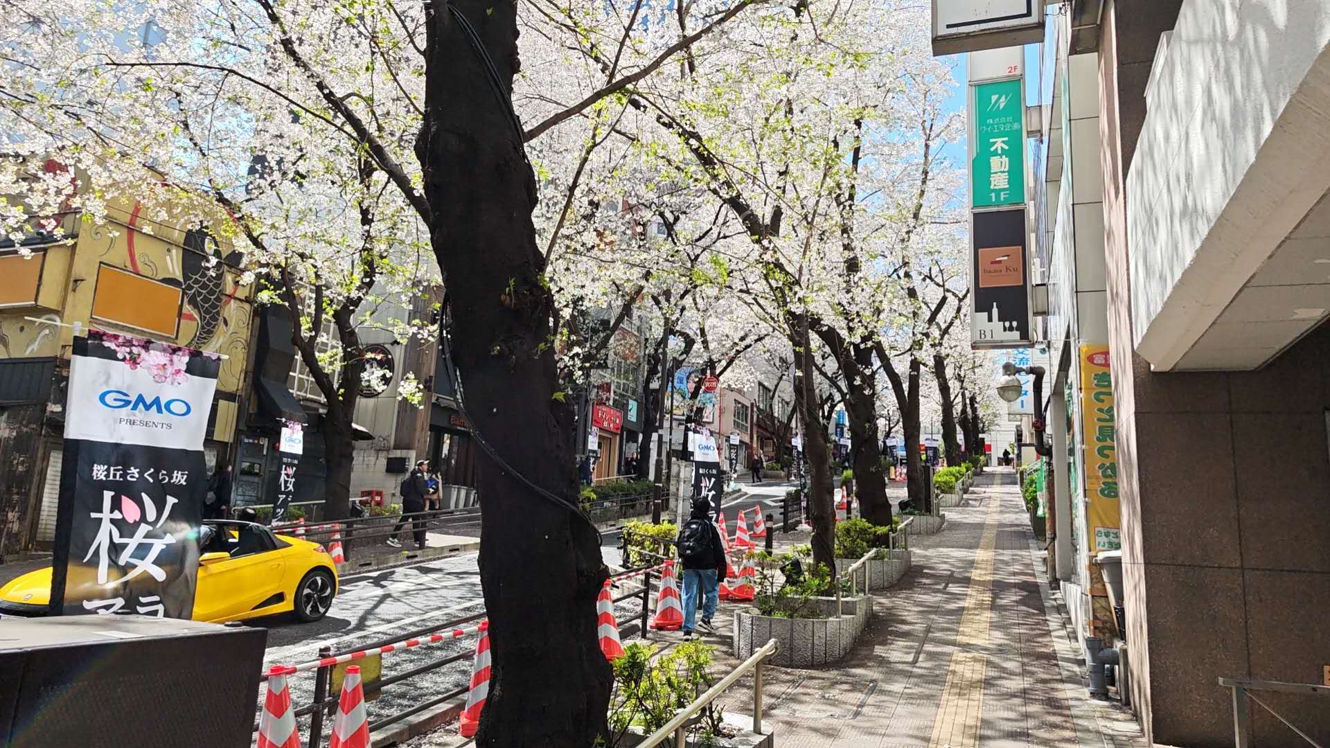 保護中: 日本経済大学