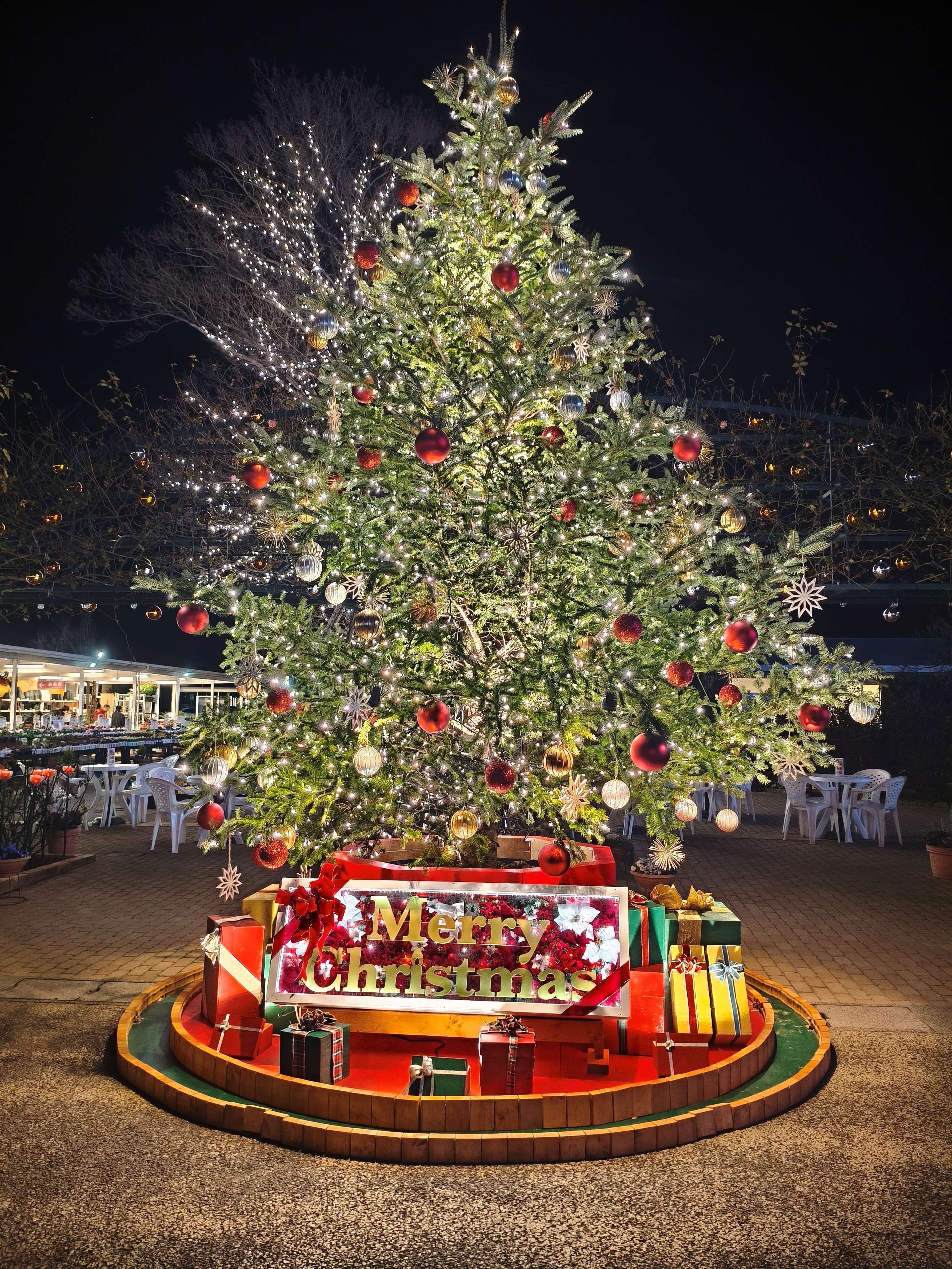 障がい者の方でも楽しめる日本一のイルミネーション！！！