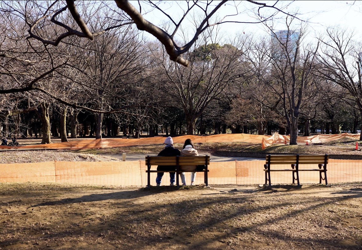 多様な人にやさしい都心の公園——代々木公園の魅力と使いやすさ