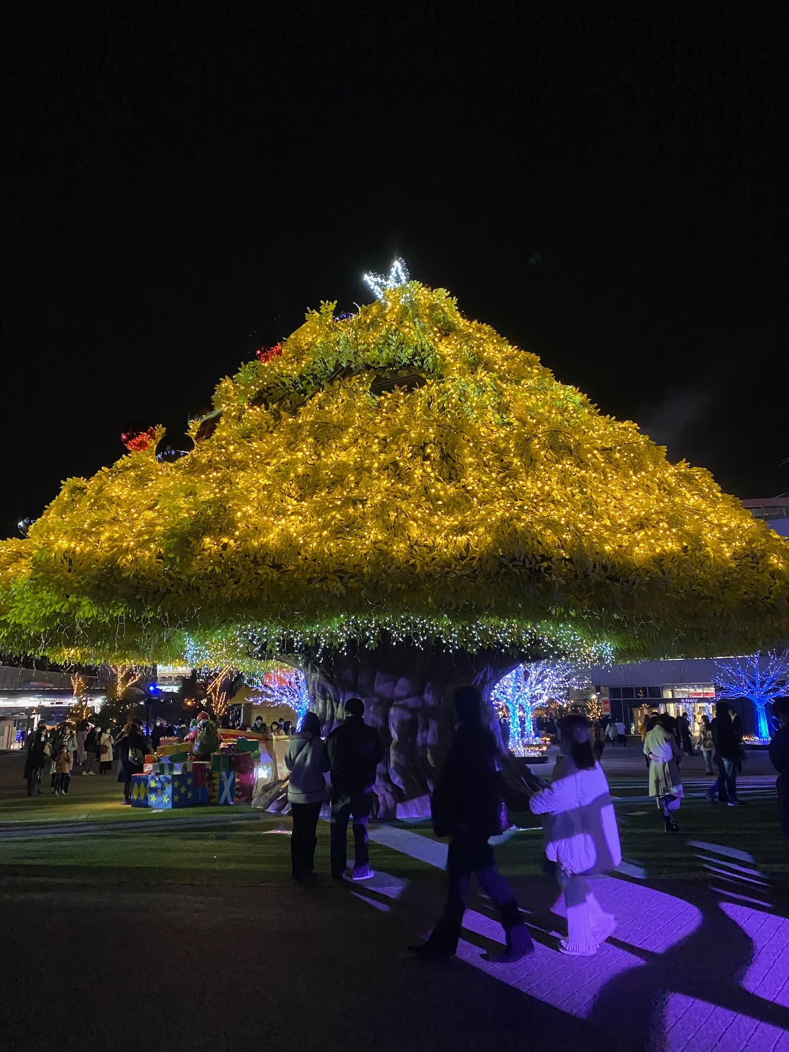 保護中: 冬の東京を彩る光の祭典！大井競馬場「東京メガイルミ」完全ガイド